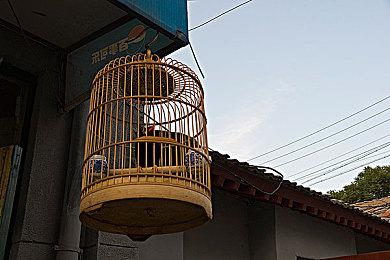 奇幻解谜冒险游戏《不祥之森》推出免费试玩版本